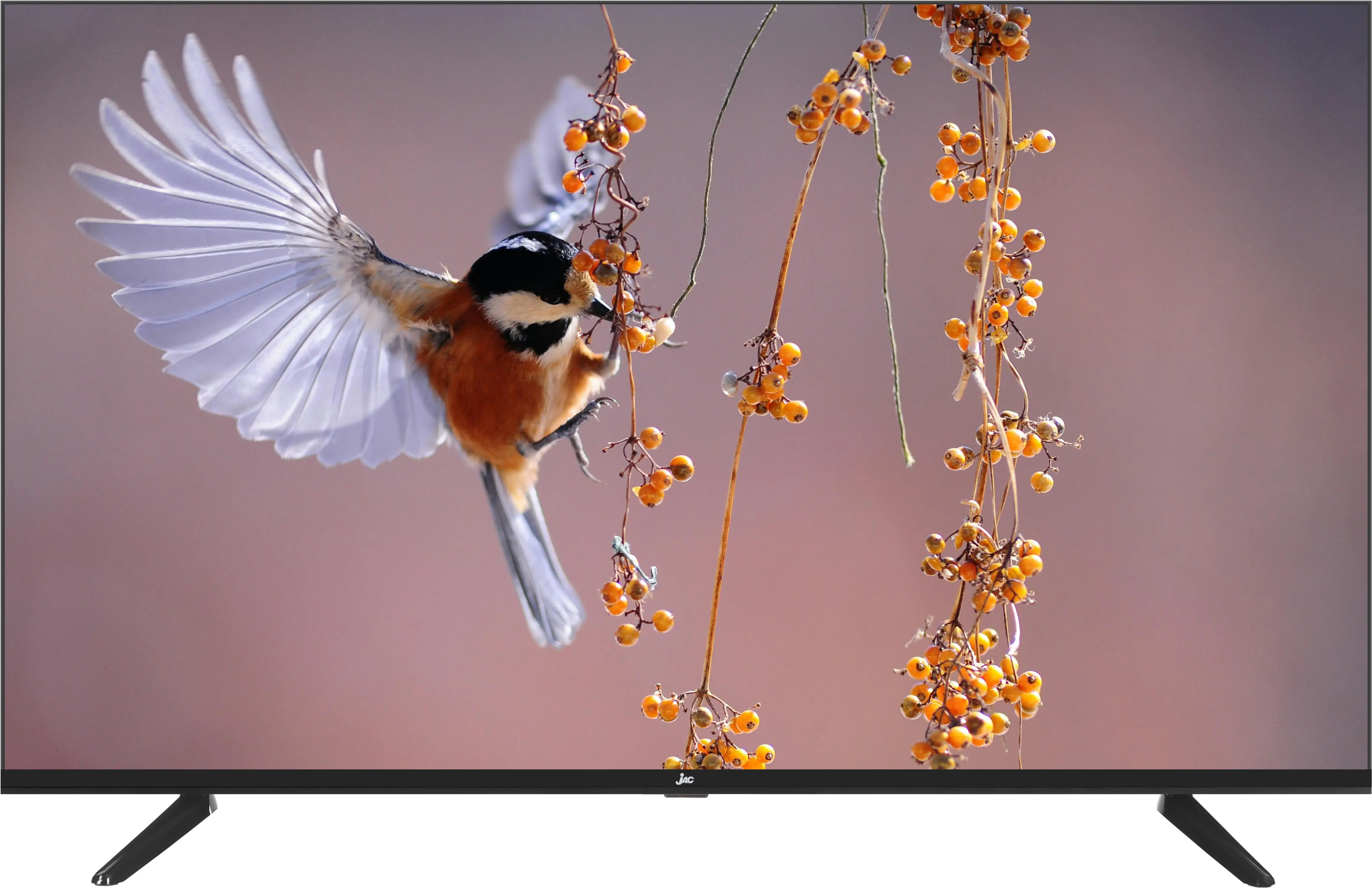 سمارت جاك، 43 بوصة، بدون فريم ، 43JD6121F ،LED ،FHD - اسود